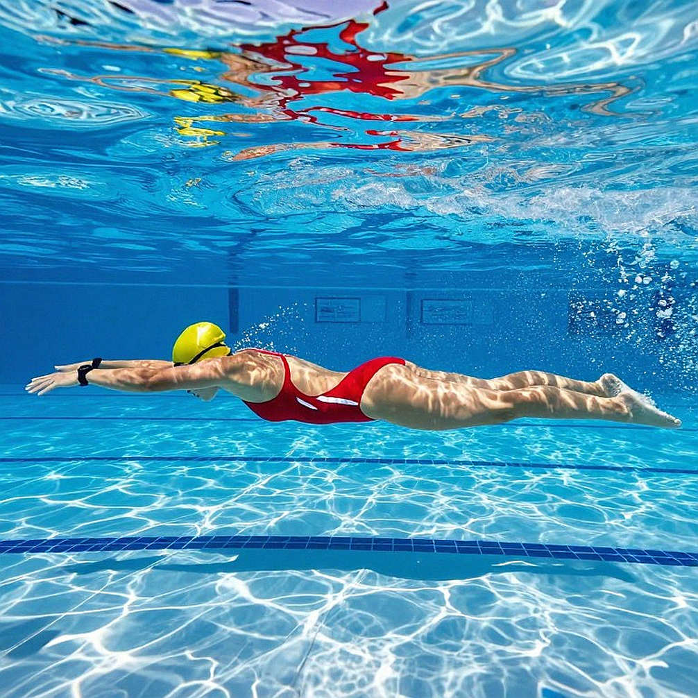 Sharks Swim Club tìm 'kiến trúc sư' cho lò đào tạo 250 vận động viên trẻ: Đầu tư cho tương lai hay chiến lược thương mại hóa?