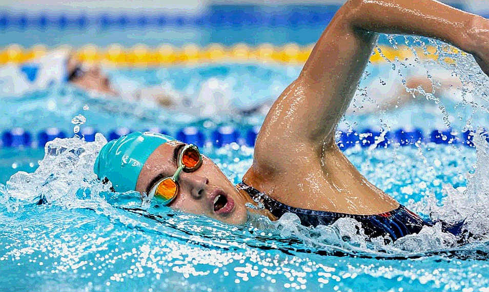 Sharks Swim Club tìm 'kiến trúc sư' cho lò đào tạo 250 vận động viên trẻ: Đầu tư cho tương lai hay chiến lược thương mại hóa?
