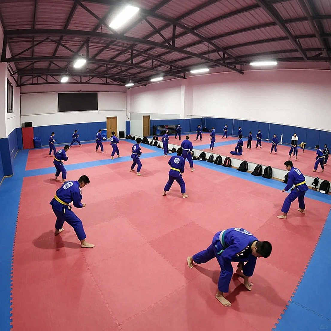 Karate Việt Nam giành HCV ASIAD đầu tiên: Ba cô gái nhỏ làm rung chuyển đất karate